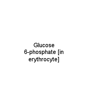 Glucose 6-phosphate [in erythrocyte]
